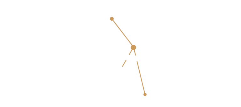 logo - unuopa